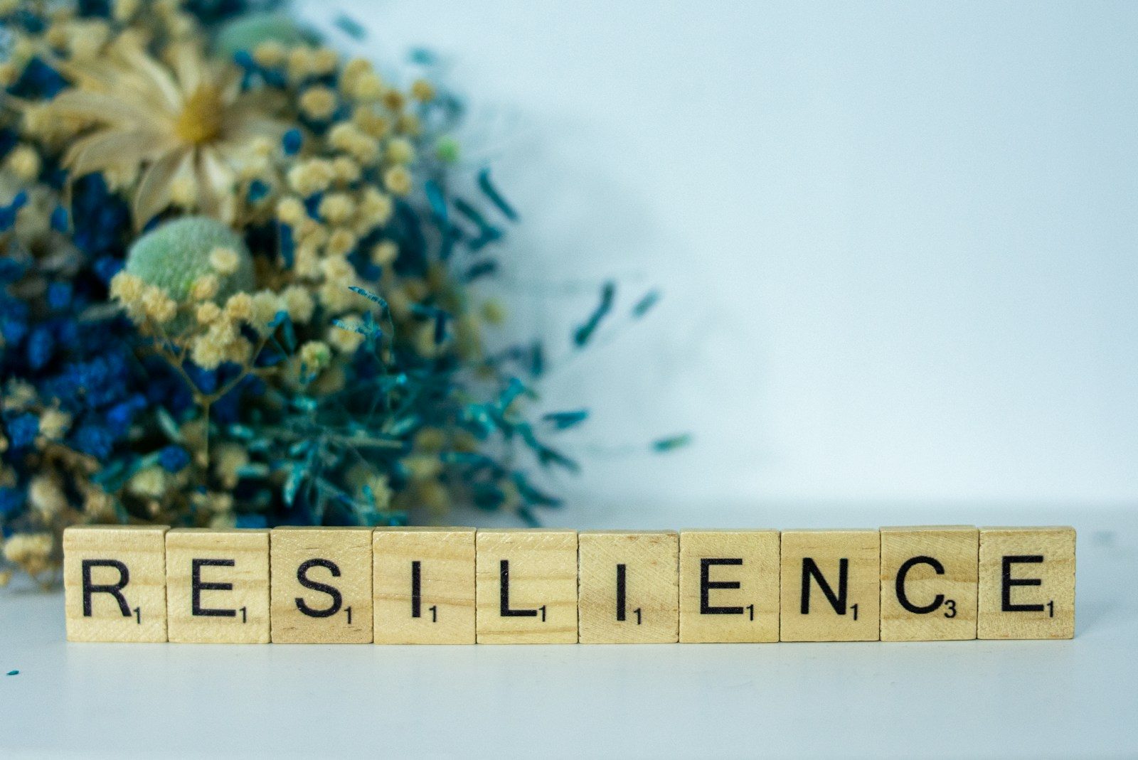 Home Resilience Checklist: A Practical Whole-House Audit